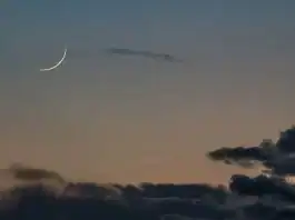 المغرب يحتفل بعيد الأضحى يوم السبت 7 يونيو 2025 المغرب يحتفل بعيد الأضحى يوم السبت 7 يونيو 2025