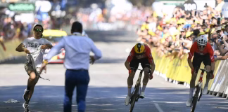 جولة فرنسا 2025: متظاهر مناهض لإسرائيل يُحدث فوضى في المرحلة 11 متظاهر مناهض لإسرائيل يعكّر أجواء المرحلة 11 من طواف فرنسا