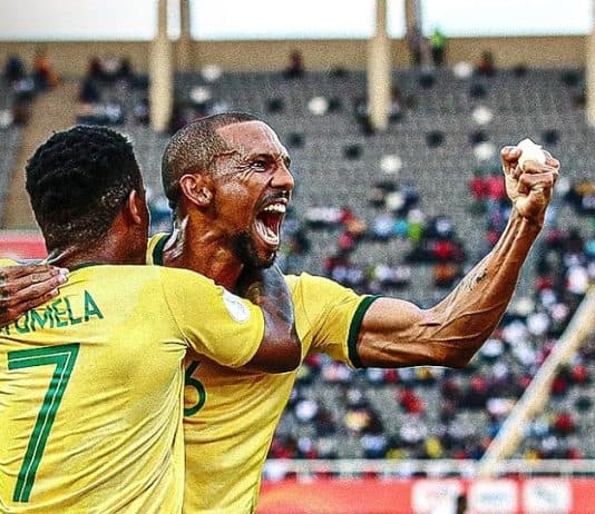 جنوب إفريقيا تحسم مواجهة غينيا وتقترب من التأهل في «الشان» جنوب إفريقيا تتغلب على غينيا وتنعش آمالها في "الشان"