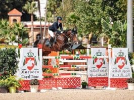 الجديدة تحتضن عروض فروسية عالمية في الدوري الملكي المغربي الدوري الملكي المغربي للفروسية: الجديدة تحتضن عروضاً عالمية مثيرة