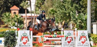 الجديدة تحتضن عروض فروسية عالمية في الدوري الملكي المغربي الدوري الملكي المغربي للفروسية: الجديدة تحتضن عروضاً عالمية مثيرة