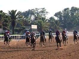 أغادور يفوز بالجائزة الكبرى لصاحب الجلالة الملك محمد السادس في الدار البيضاء أجادور يفوز بكأس الملك محمد السادس الكبرى في الدار البيضاء: إنجاز تاريخي في الاجتماع الدولي المغربي