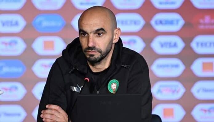 الجامعة تنفي إقالة الركراكي وتؤكد استمراره مع الأسود