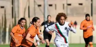 توقيف مؤقت للبطولة الوطنية النسوية بسبب التوقف الدولي توقيف البطولة الوطنية النسوية بسبب التوقف الدولي