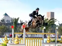 الرباط تحتضن بطولة القفز على الحواجز أربع نجوم بتنظيم الحرس الملكي بطولة القفز على الحواجز أربع نجوم بالرباط تحت رعاية ملكية
