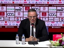 محمد وهبي: الجاهزية الفنية فوق كل اعتبار.. لا عمر ولا بطولة تحدد اختياراتي وهبي: الجاهزية فقط تحدد اختياراتي مع أسود الأطلس