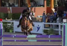Nal Zeroual représente le Maroc en finale du World Equestrian Challenge نال زروال يمثل المغرب في نهائي التحدي العالمي للفروسية