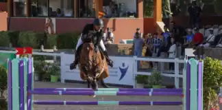 الفارس نال زروال يمثل المغرب في نهائي التحدي العالمي للفروسية نال زروال يمثل المغرب في نهائي التحدي العالمي للفروسية