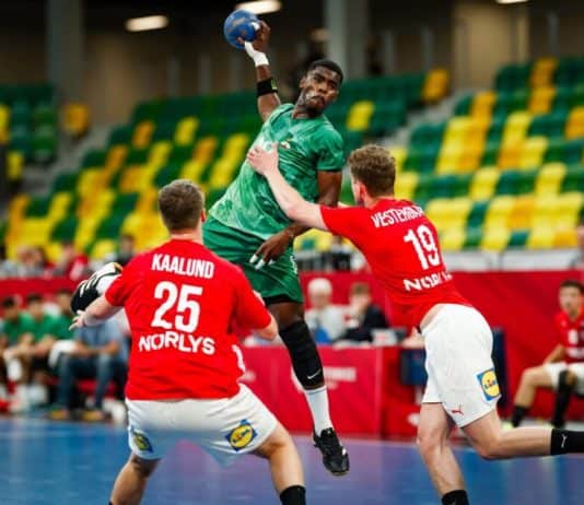 المنتخب المغربي يُسقط مقدونيا في كأس الرئيس بمونديال اليد لأقل من 21 سنة المغرب يهزم مقدونيا في بطولة العالم لكرة اليد U21